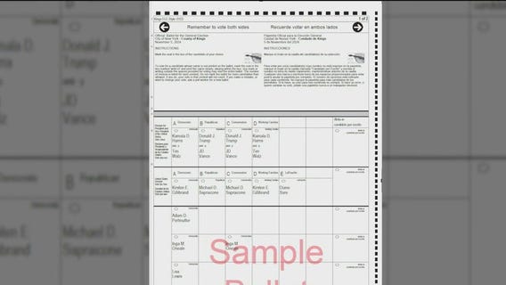 Proposition 1 on the New York ballot: What is it?