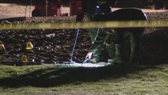 Phoenix area grappling with teen violence