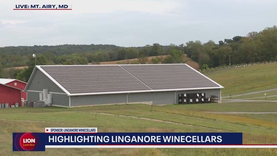 Highlighting Linganore Winecellars