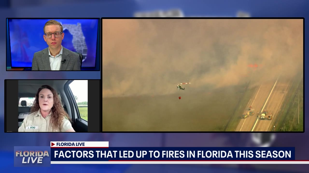 Why hurricanes heighten Florida's risk for wildfires | FOX 35 Orlando