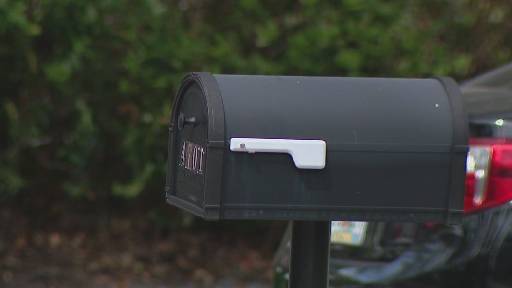 Mail carriers held at gunpoint in Hillsborough | FOX 13 Tampa Bay