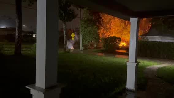 Power line ablaze from fallen tree in Altamonte