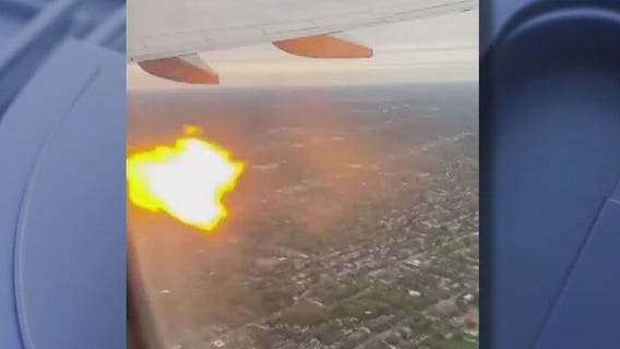 What we know about the American Airlines bird strike on Phoenix bound flight