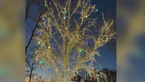 Wisconsin Dells during the winter months; fun activities to know about