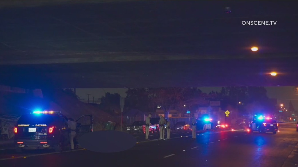 Pedestrian killed by hit-and-run driver in Willowbrook