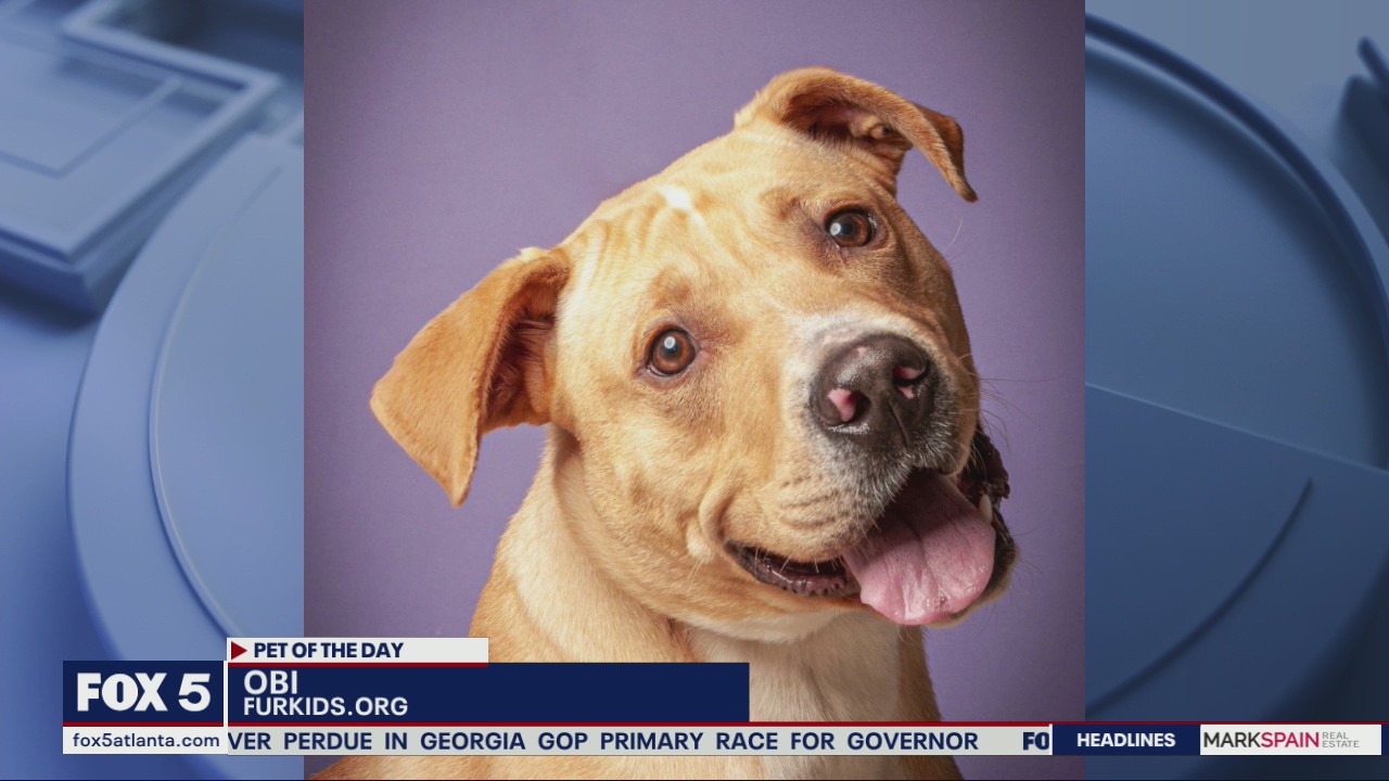 Pet of the Day from FurKids