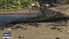 Canceled pursuit with Plano police ends in Dallas crash