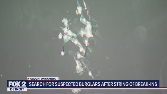 Search for suspected burglars after string of break-ins