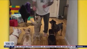 Liz's Pet Tricks for Wednesday, March 15