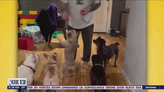 Liz's Pet Tricks for Wednesday, March 15