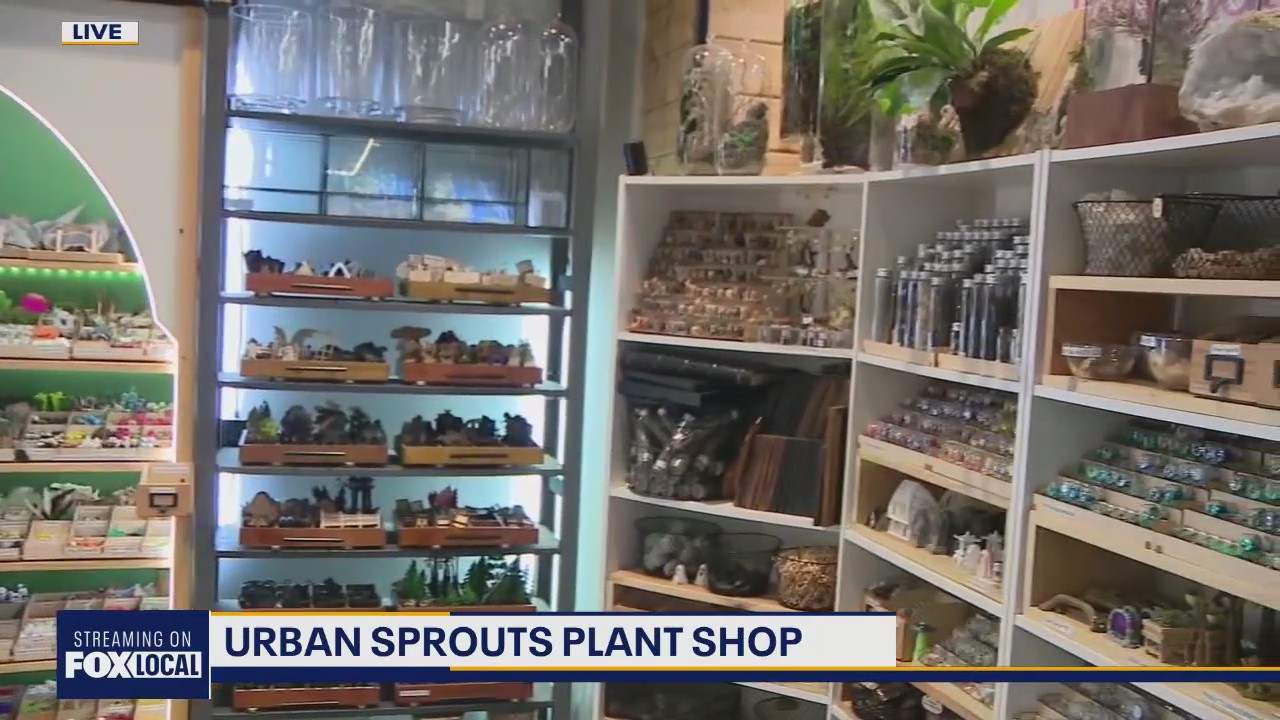 Zip Trips: Learning about plants with Renton's Urban Sprouts