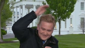 Bird lands on FOX News reporter's head live on-air