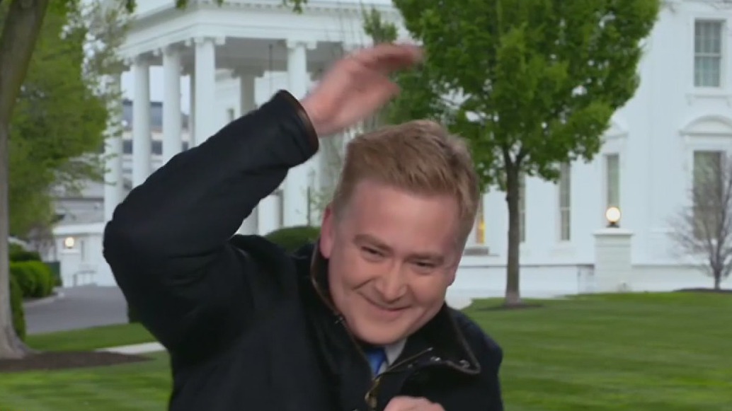 Bird lands on FOX News reporter's head live on-air