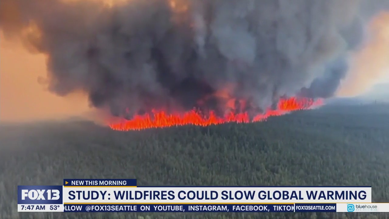 Wildfires could slow global warming, according to new study