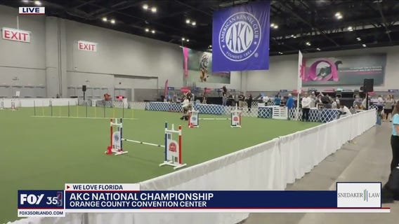 AKC National Championship at Orange County Convention Center