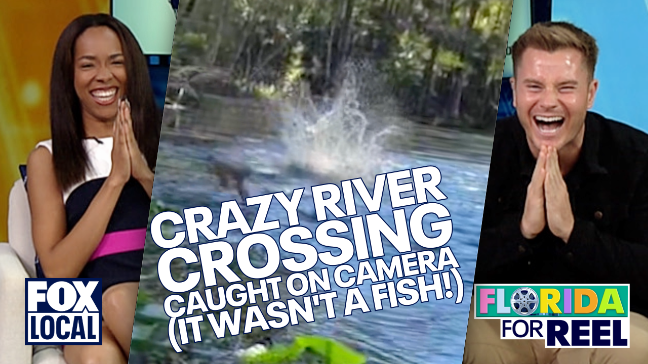 Monkeys make a splash at Silver Springs | Florida For Reel