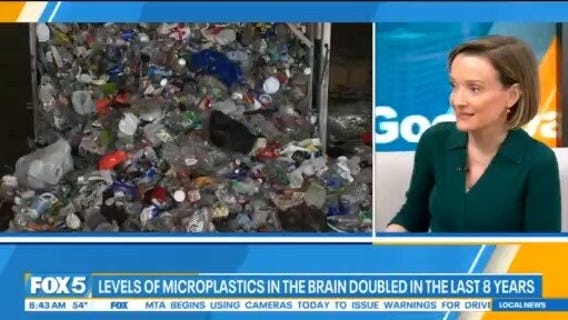 New study says the average brain contains 10g of microplastics: Good Day Today