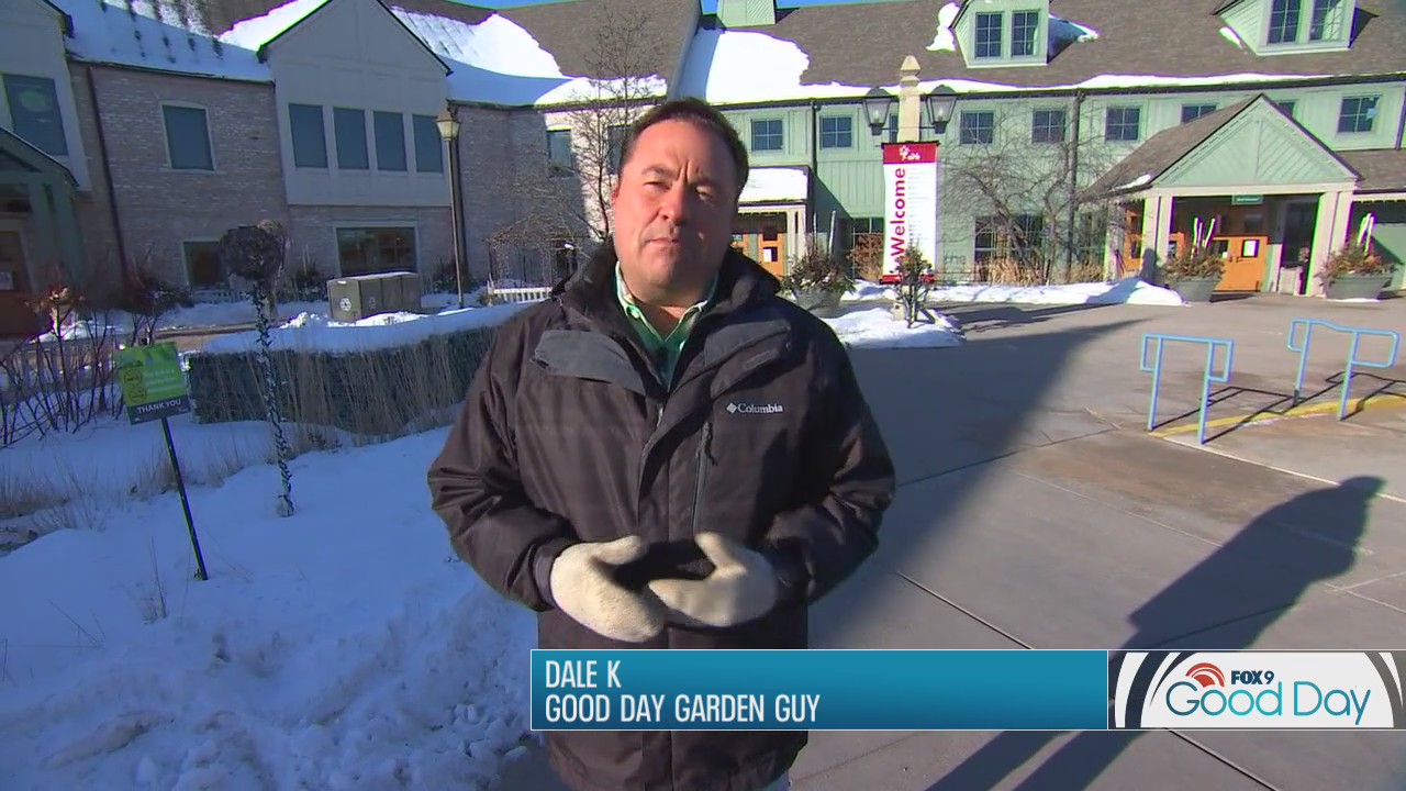 Adding splendor to your winter landscaping