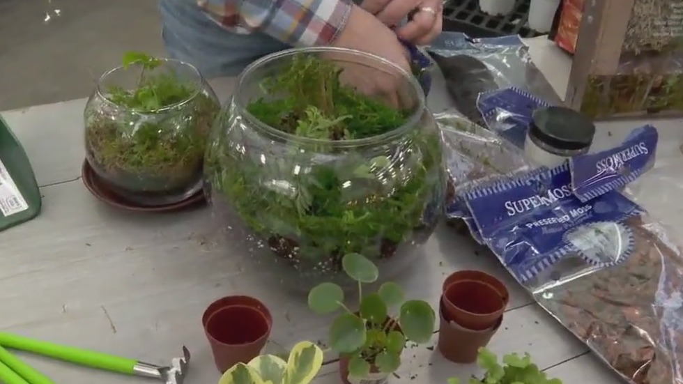 FOX 9 Good Day: Jan. 16, 2024