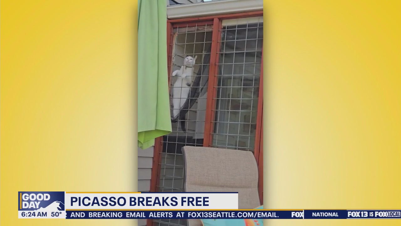 Pet Tricks for Friday, May 23