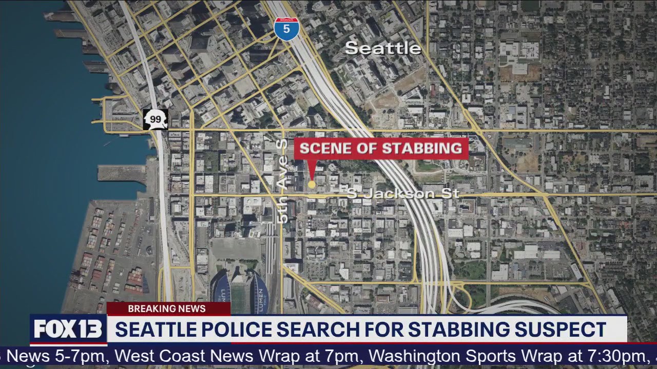 Man stabbed near downtown Seattle, suspect on the loose | FOX 13 Seattle