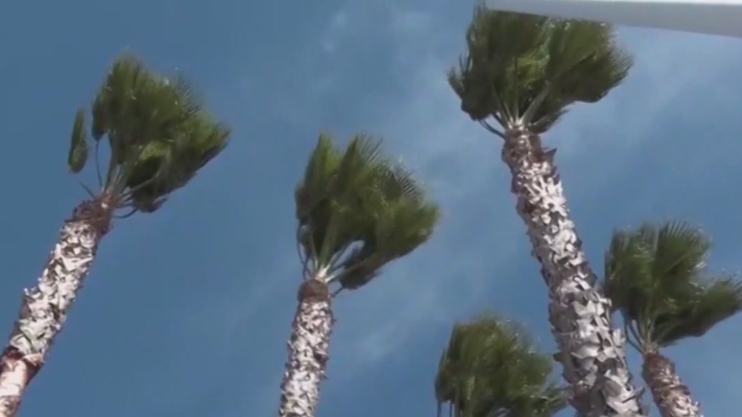 High winds force planned outages