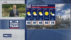 Wednesday midday weather forecast