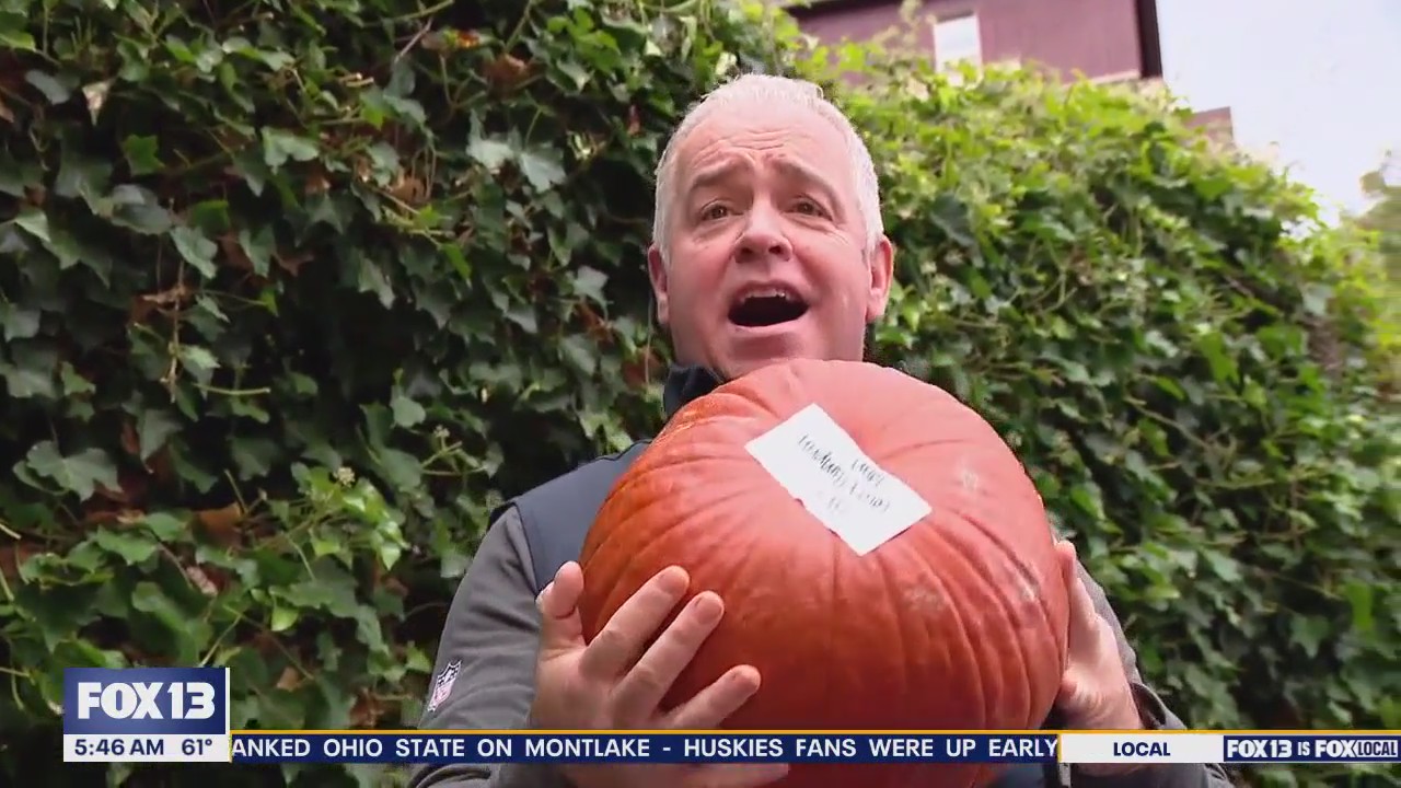 Good Day Zip Trips: The team visits best pumpkin patches in Western WA