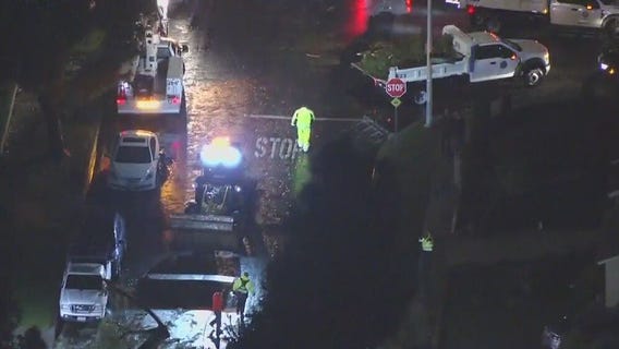 Downed trees in Pico Rivera prompts tornado probe