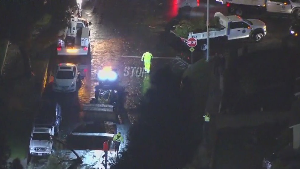 Downed trees in Pico Rivera prompts tornado probe