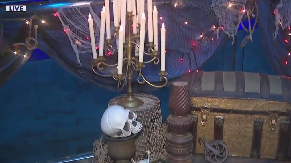 Halloween fun at the Georgia Aquarium