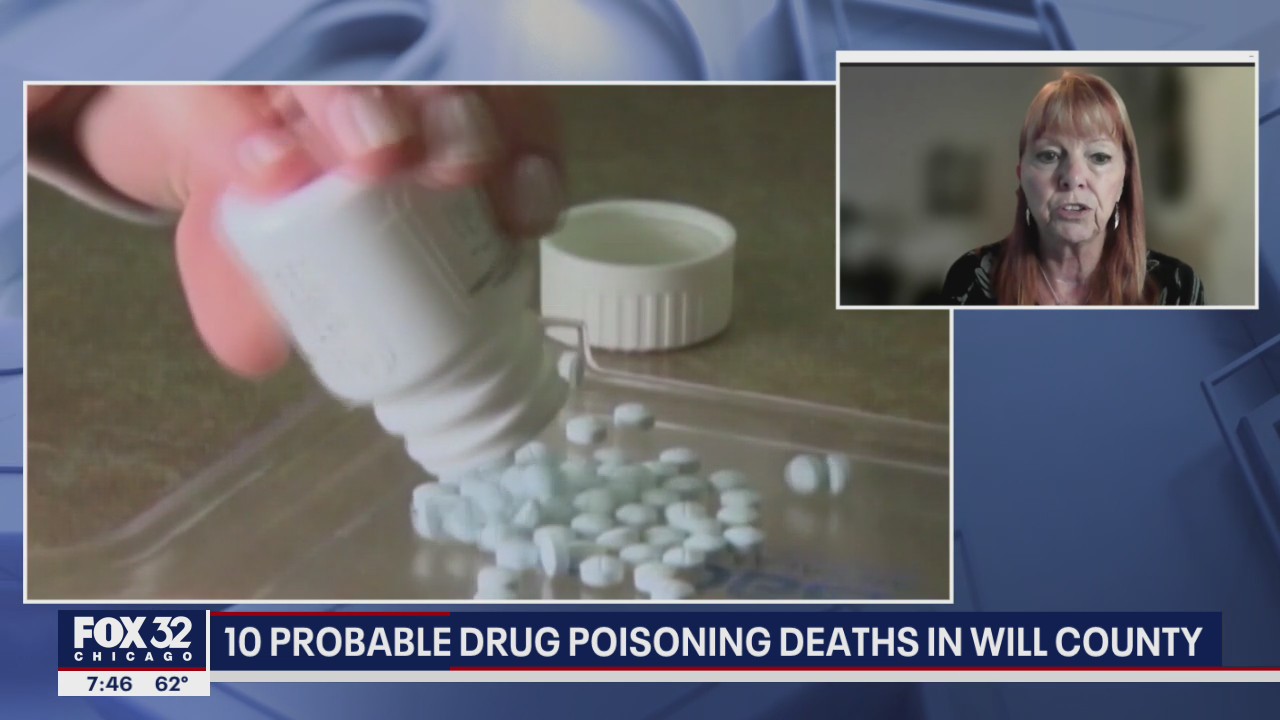 What do we know about the 10 probable drug overdose deaths in Will County?