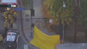 Tree trimmer dies in horrific fall in Canoga Park