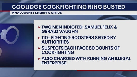 110+ roosters seized, cockfighting ring busted, police say