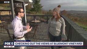 Checking out the views at Bluemont Vinyard