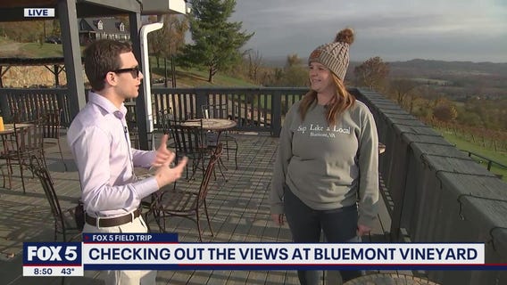 Checking out the views at Bluemont Vinyard