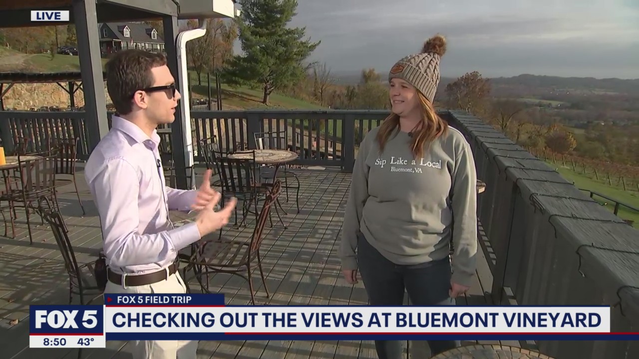 Checking out the views at Bluemont Vinyard