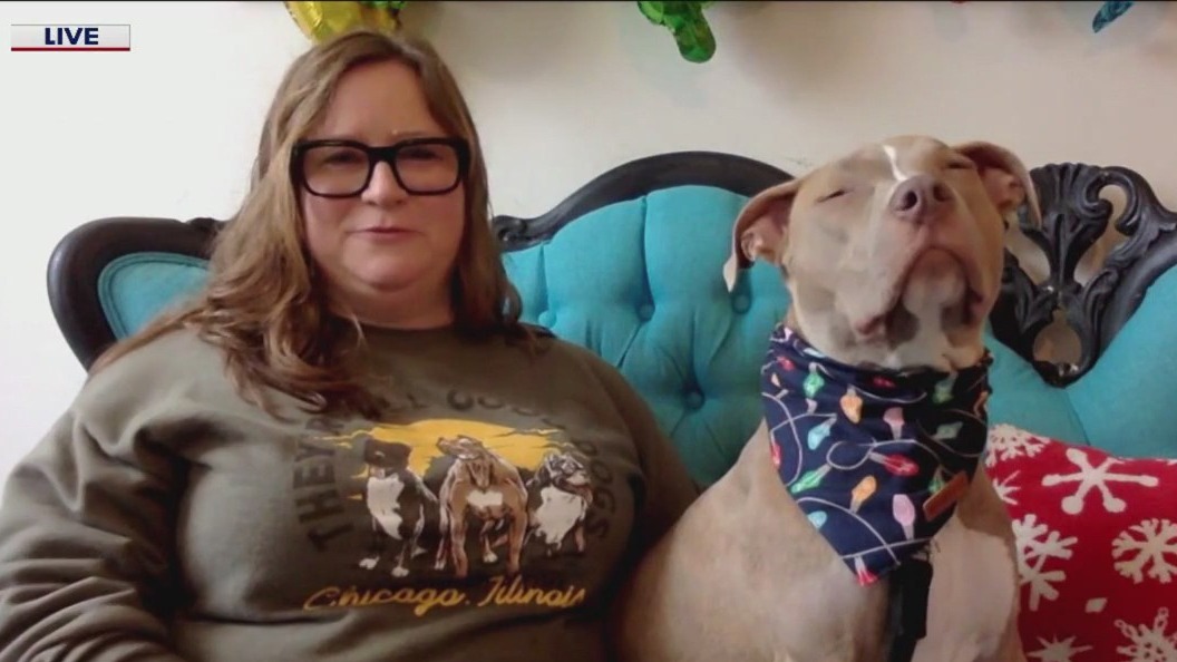 One Tail at a Time hosts Late Night Adoption next week