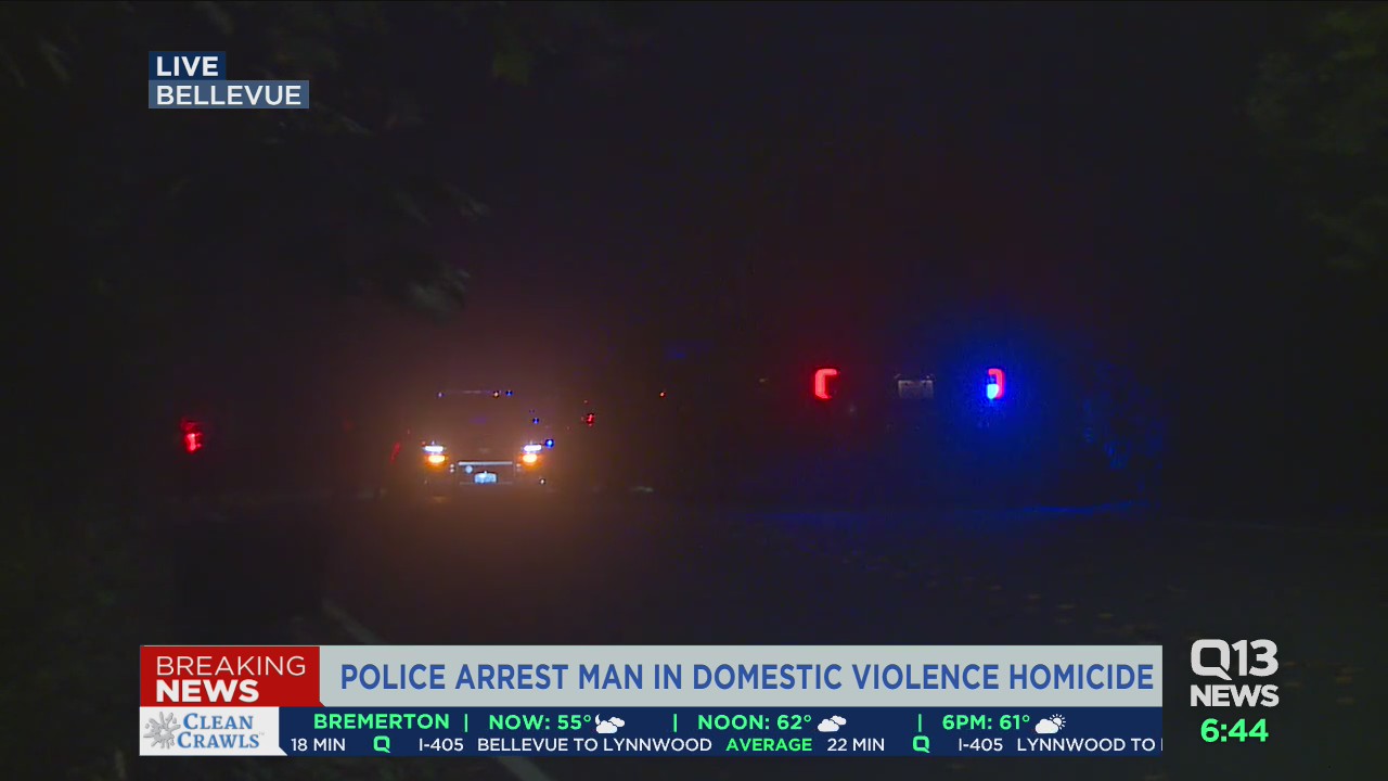 Domestic violence homicide in Bellevue