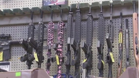 FOX Faceoff: Guns in America