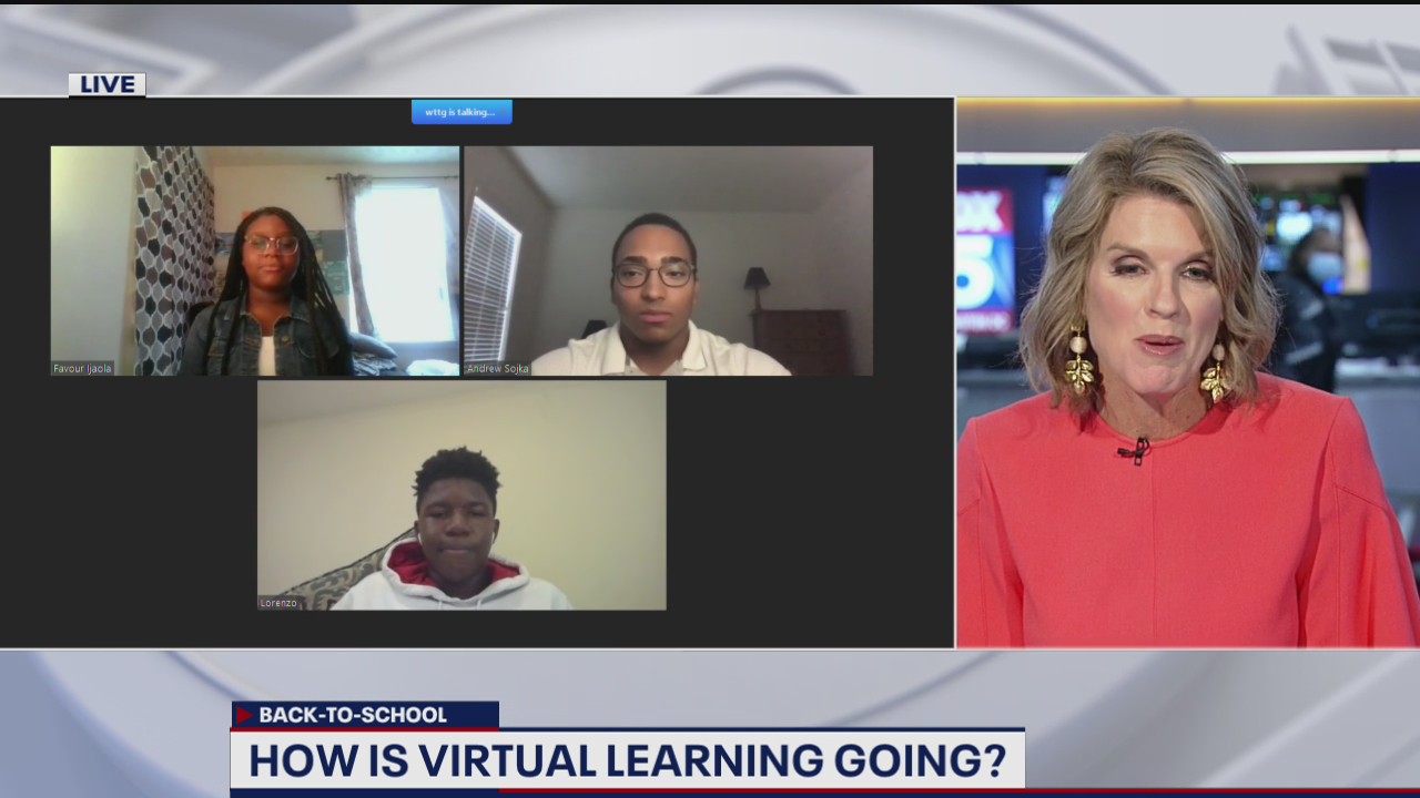 Former junior reporters rate the virtual learning experience