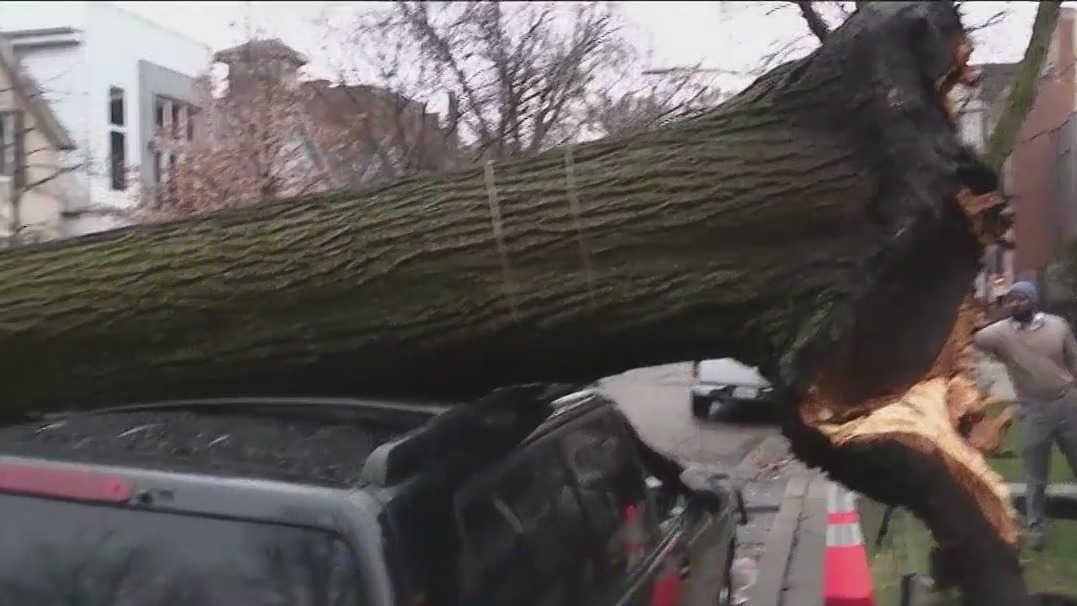 High winds in Chicago area cause roof damage, trees falling on vehicles