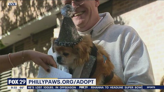 16th annual Paws Mutt Strut kicks off at Navy Yard this weekend