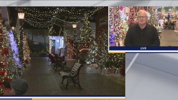 Checking in on the Parade of Trees