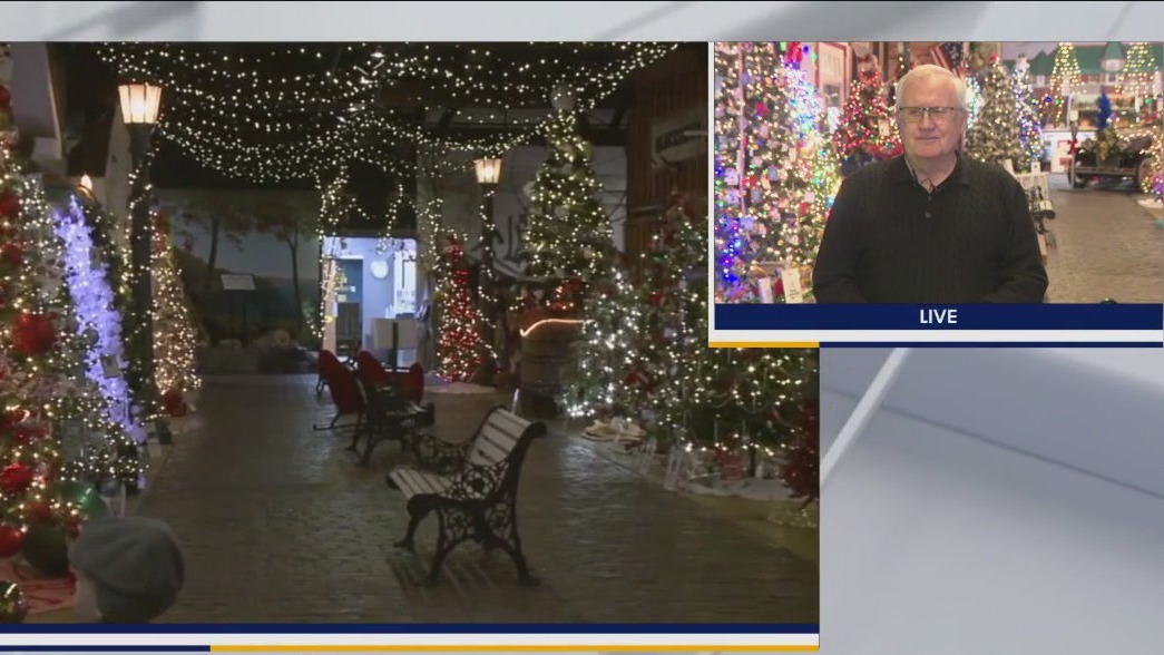 Checking in on the Parade of Trees