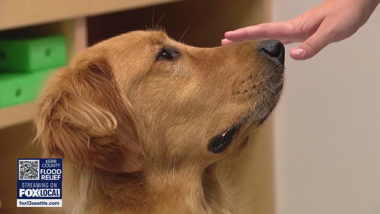 Seattle Children's new hire puts the paws in positive