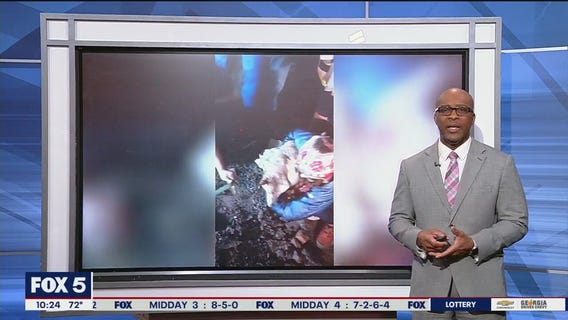 Dog rescued from storm drain