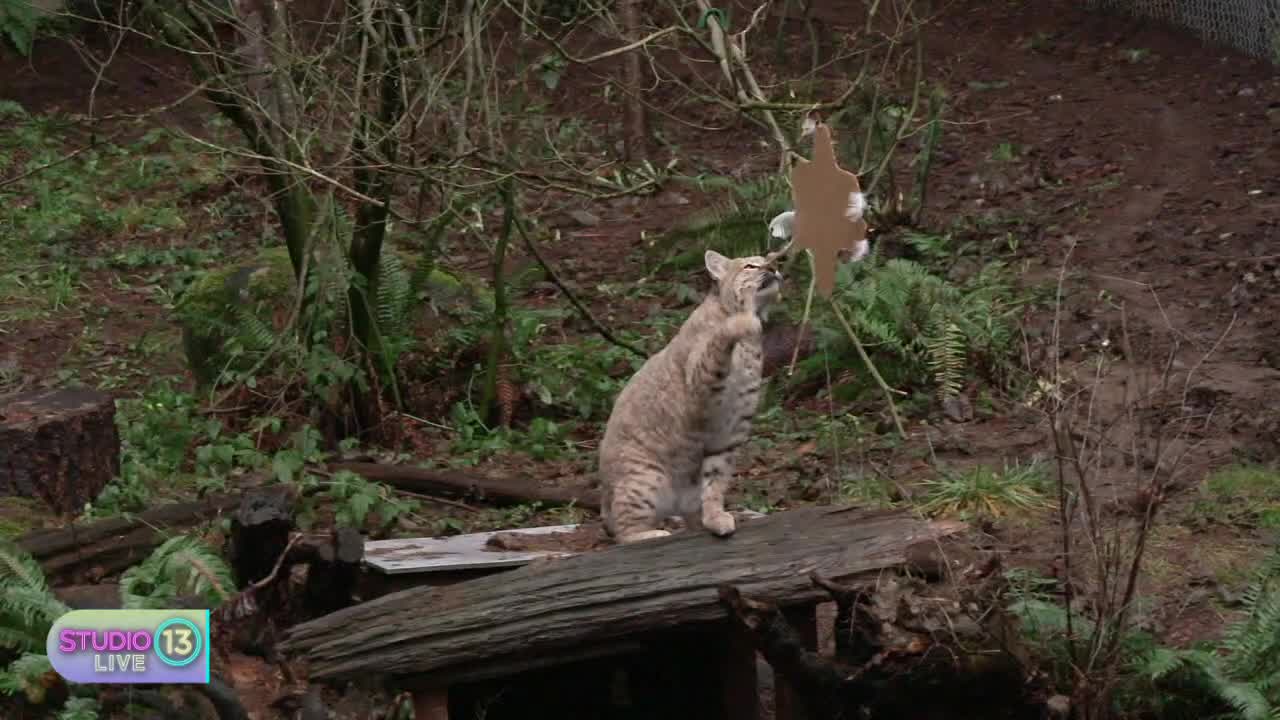 Watch Studio 13 Live full episode: Friday, Dec. 22