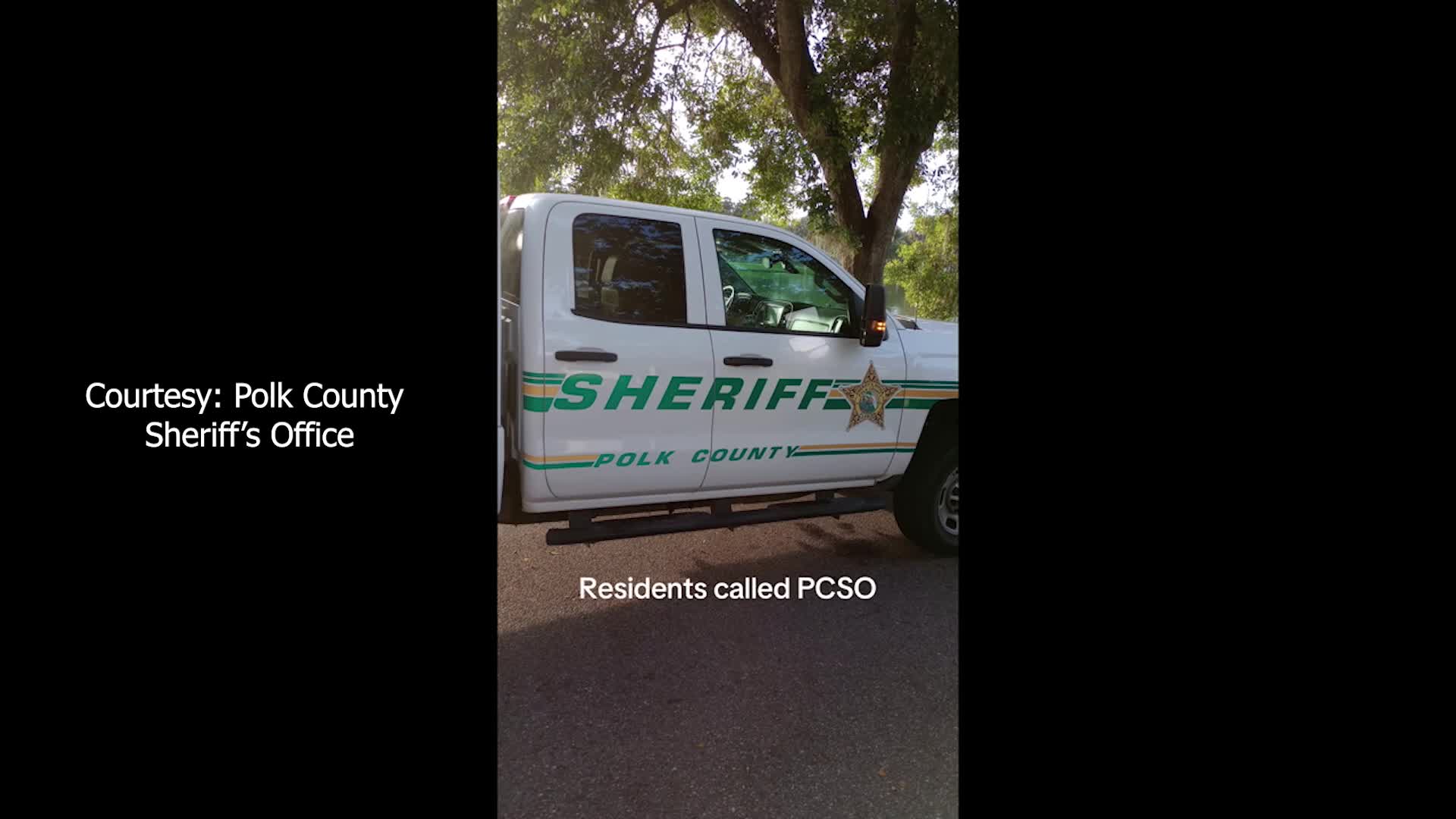 Polk County Animal Control officers rescue wood stork