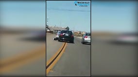 Man Dragged While Trying To Rescue Puppy